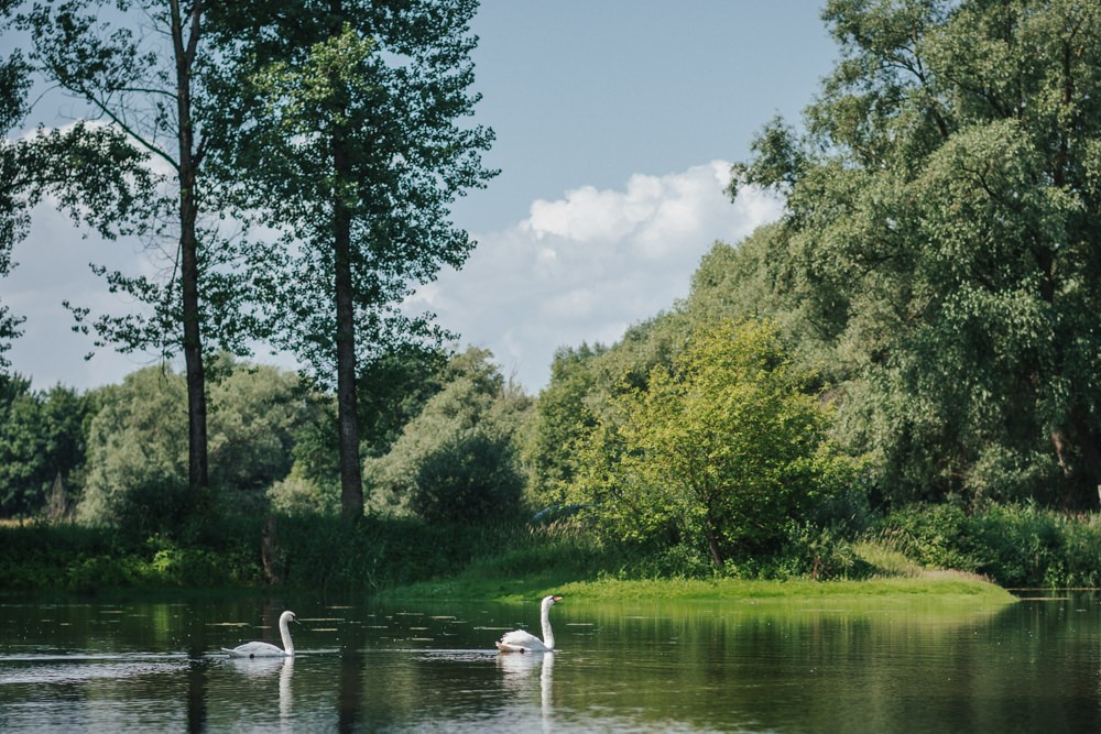 Hochzeit in Deggendorf, Paarshooting am Donauufer, Schwäne schwimmen im See